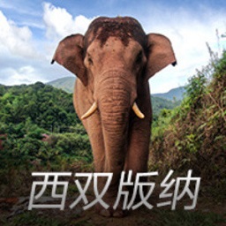 240胜！佩莱格里尼是目前执教西班牙两支球队获胜场次最多主帅